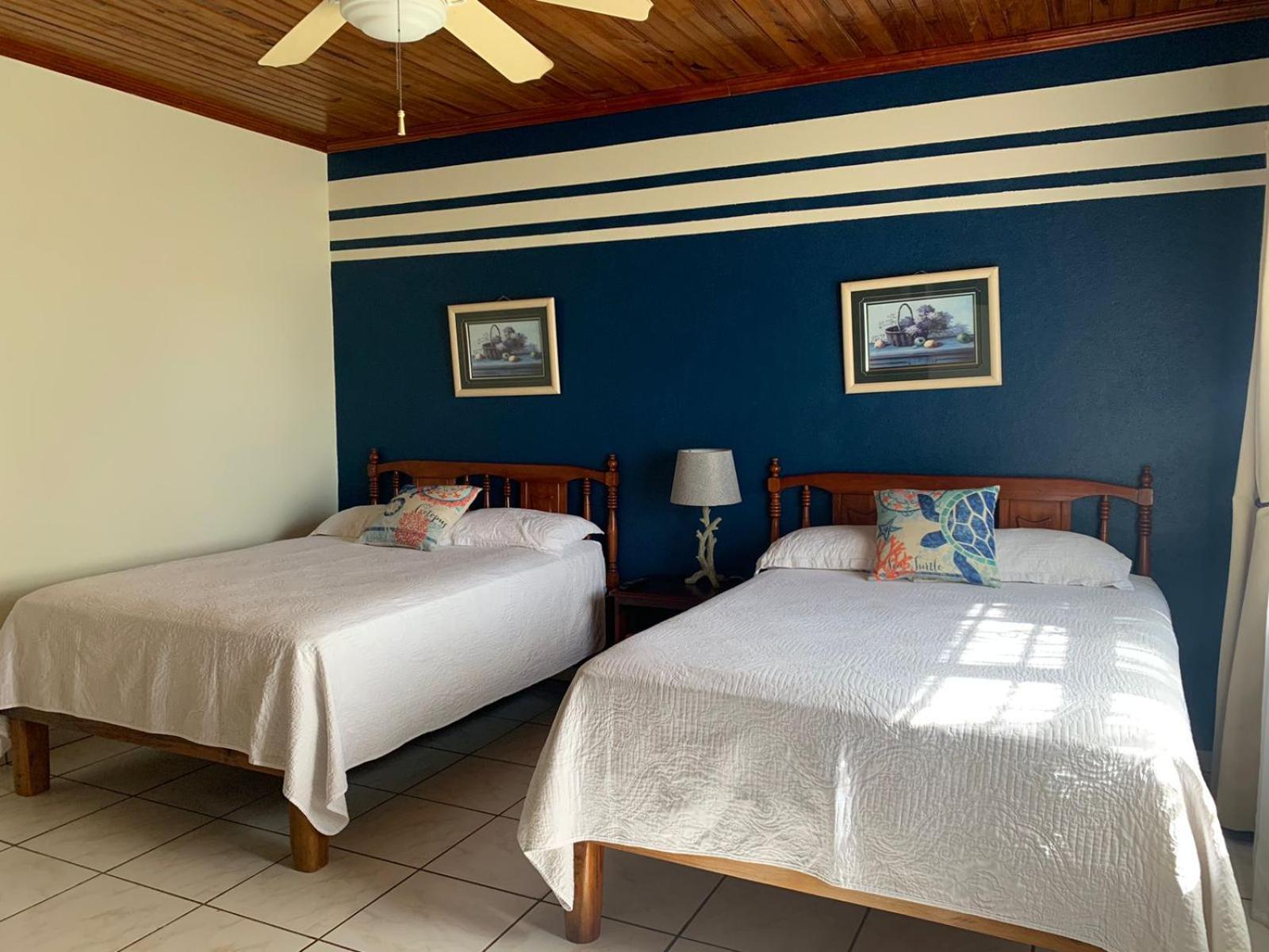 Seagrape Plantation Resort & Dive Center West End Camera foto