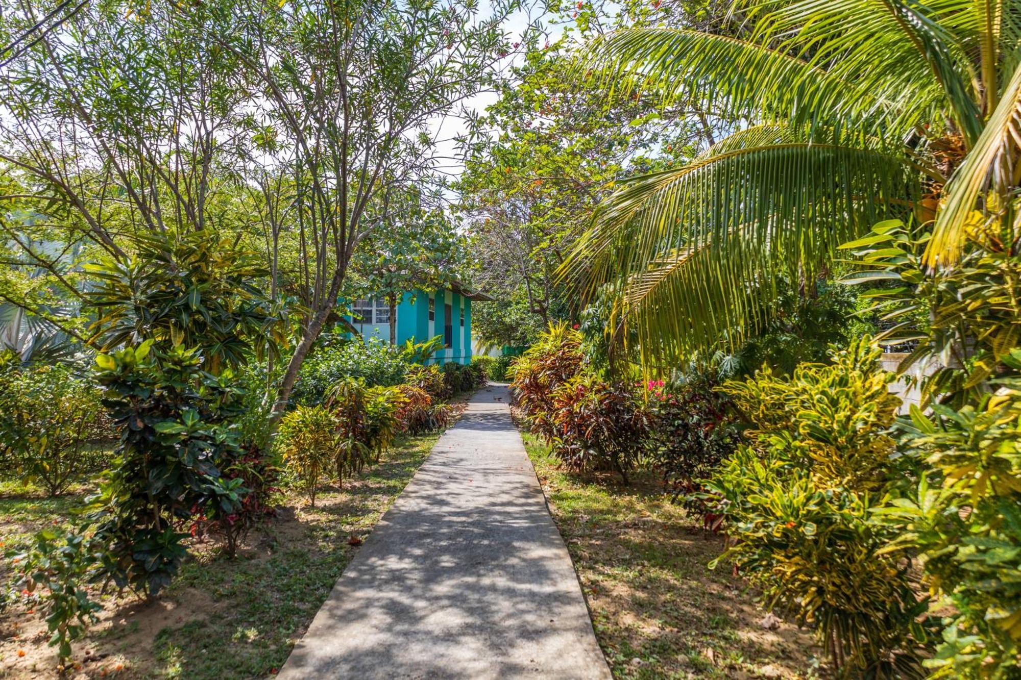 Seagrape Plantation Resort & Dive Center West End Esterno foto
