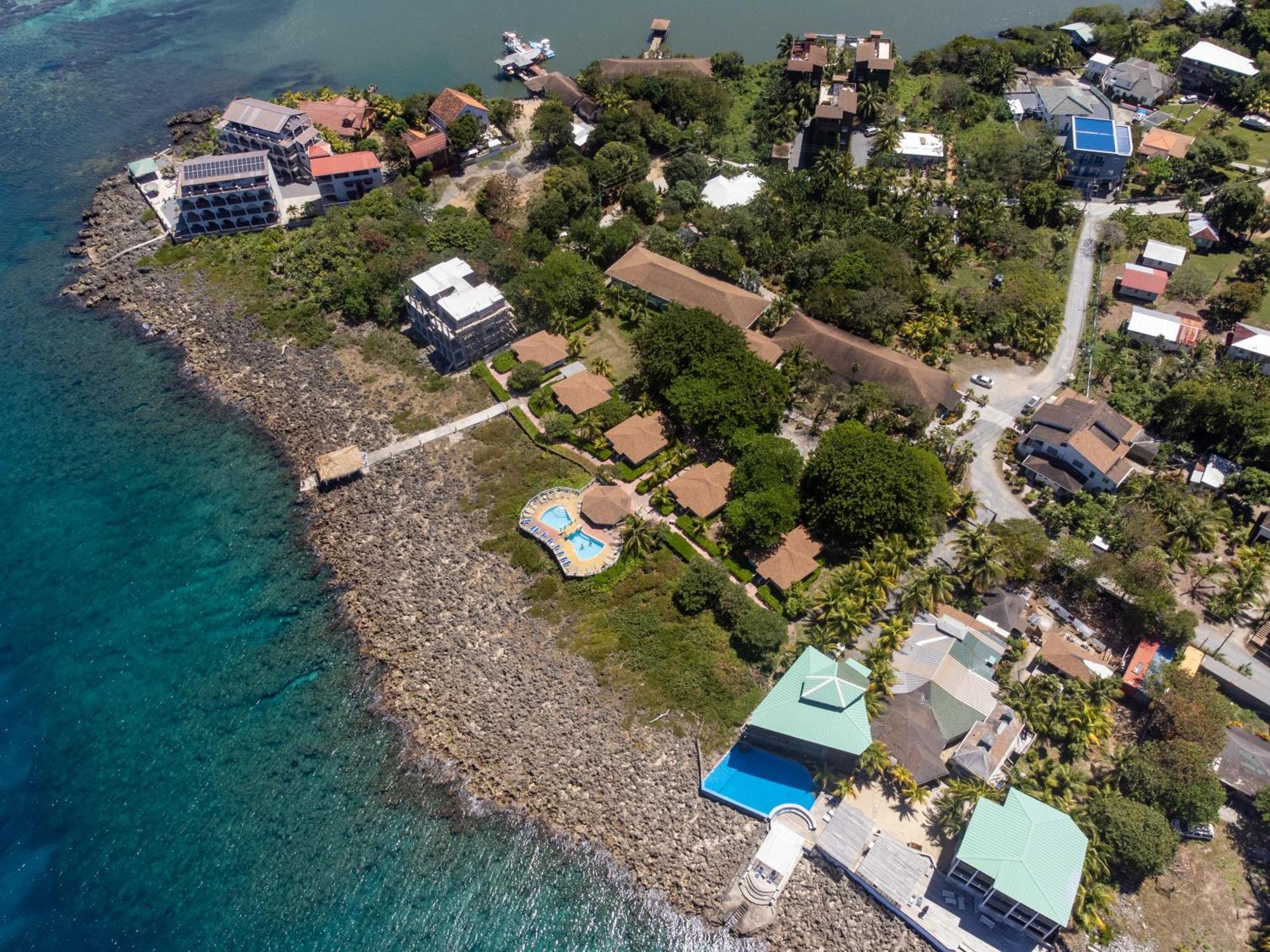 Seagrape Plantation Resort & Dive Center West End Esterno foto
